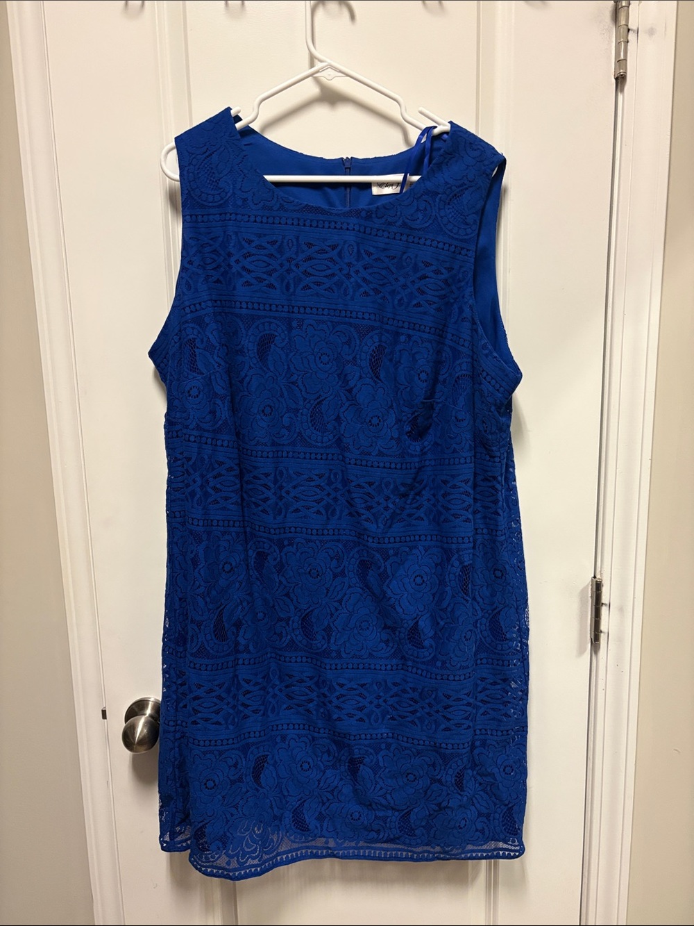Sleeveless Lace overlay Shift Dress in Cobalt Blue by Eliza J. 18W plus size
